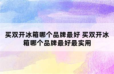 买双开冰箱哪个品牌最好 买双开冰箱哪个品牌最好最实用